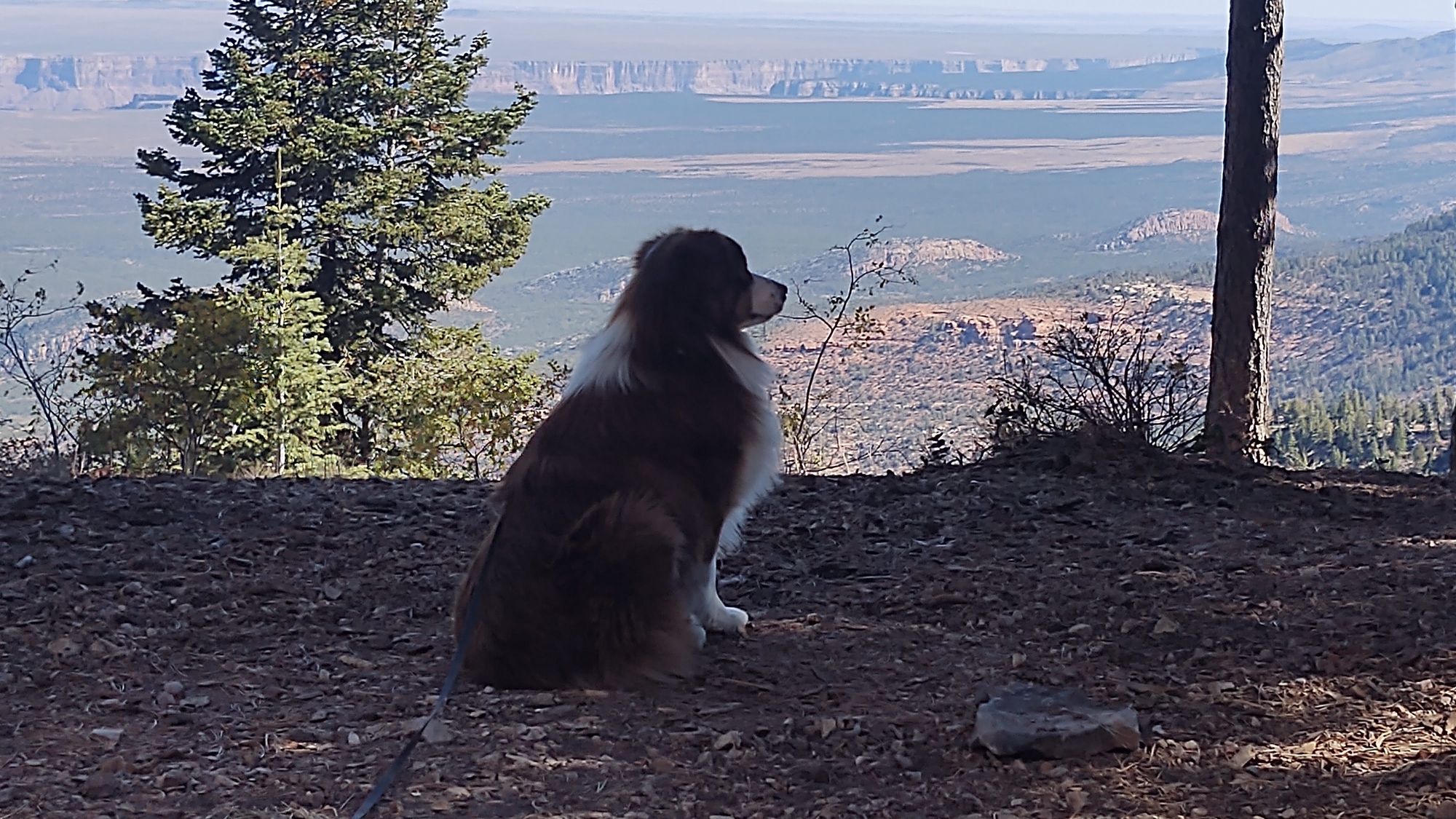 Overlanding & Boondocking - Camping at Grand Canyon North Rim