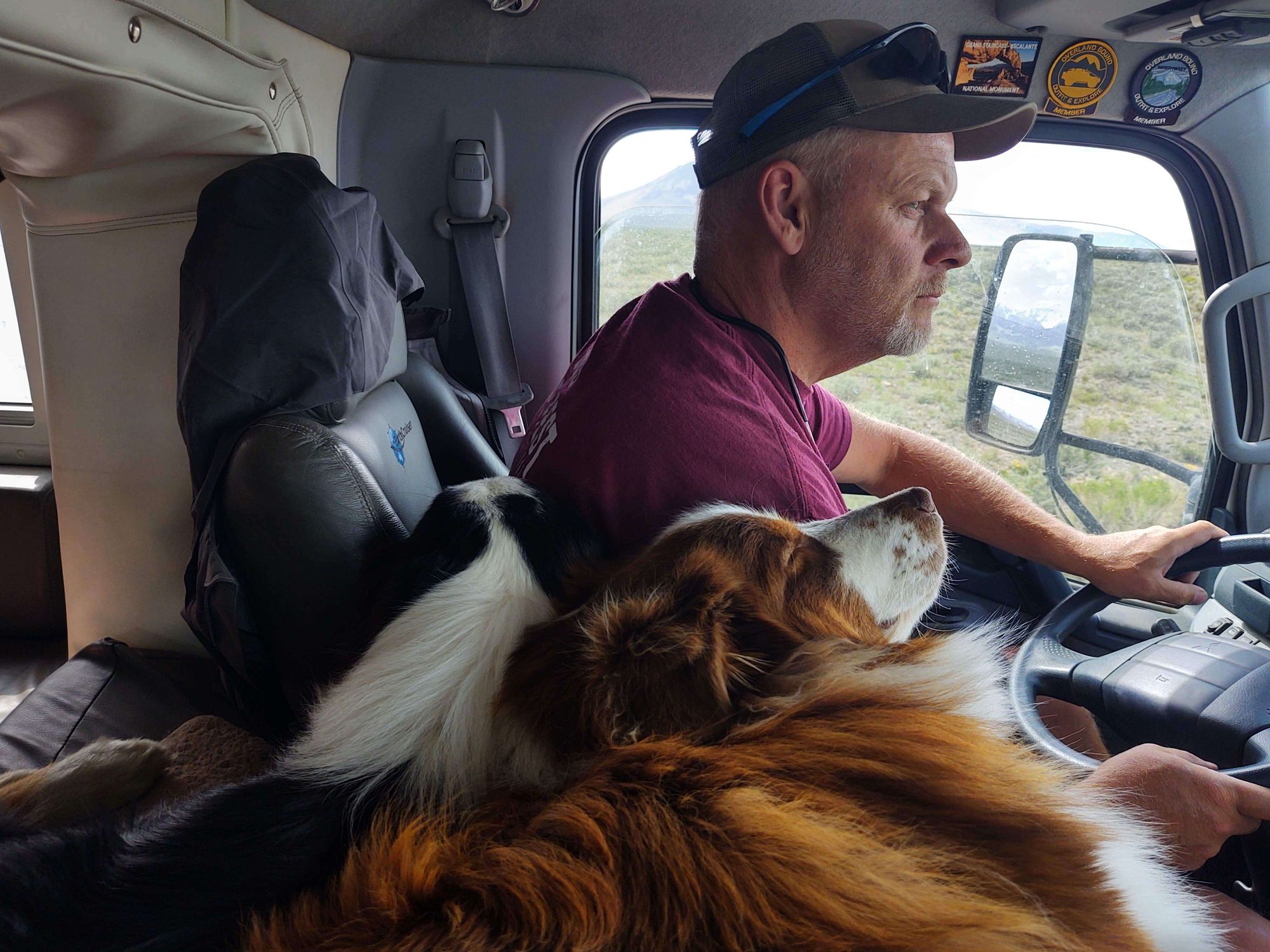 Wiggle Butts Gone Wild: Exploring the Great Outdoors with Australian Shepherds on Camping Trips!