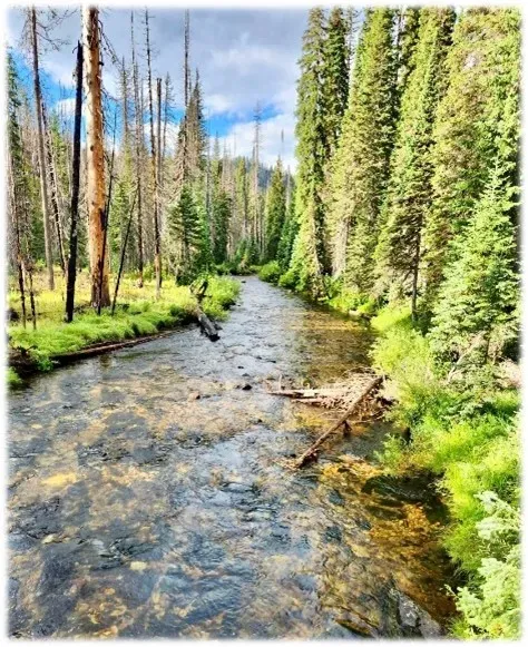 Camping, Exploring, and Traversing the Magruder Trail