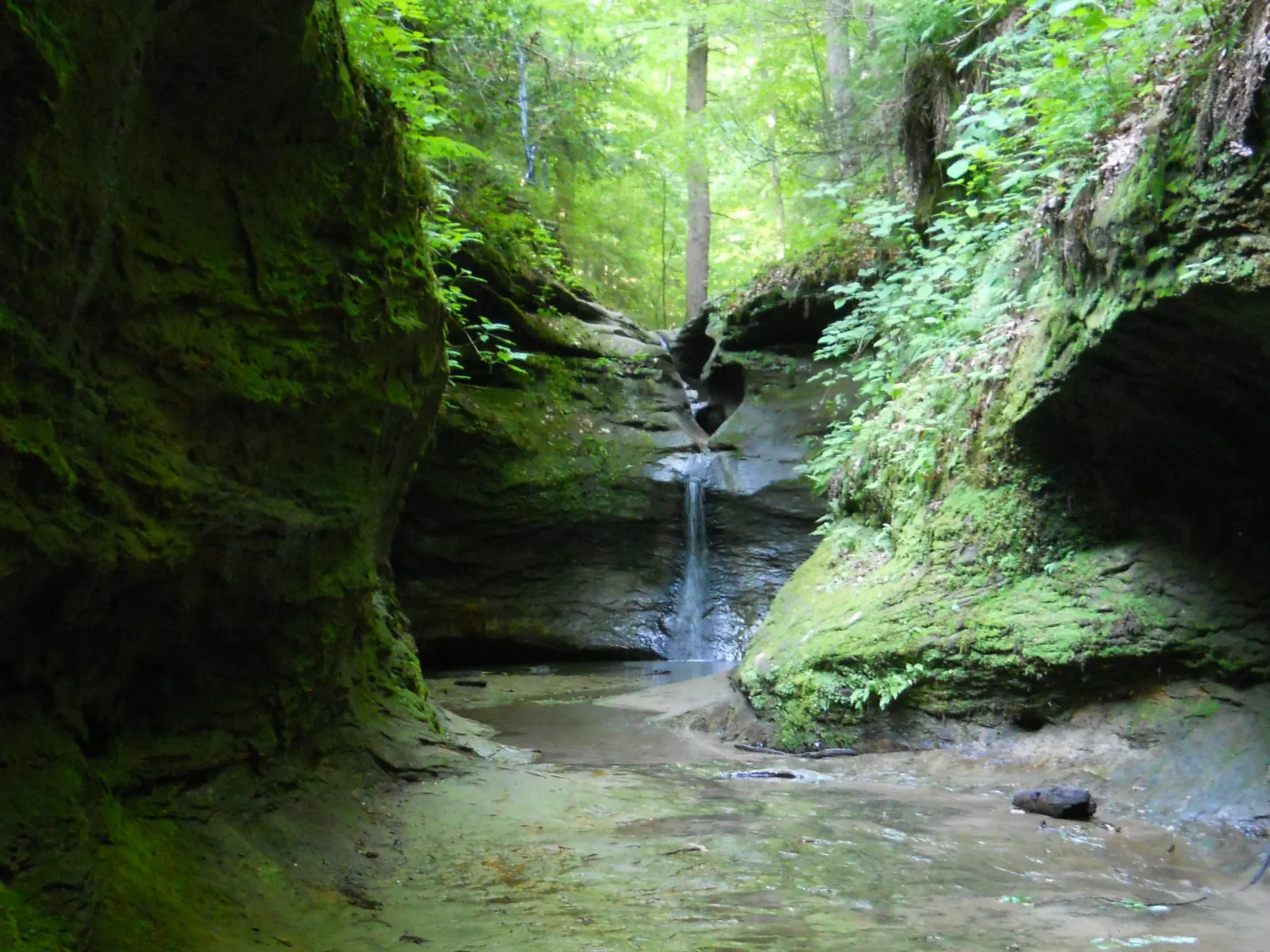 Experience Parks on the Air (POTA) at the Scenic Indiana's Turkey Run State Park