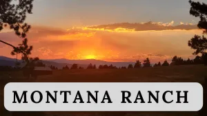 Montana Ranch (future)